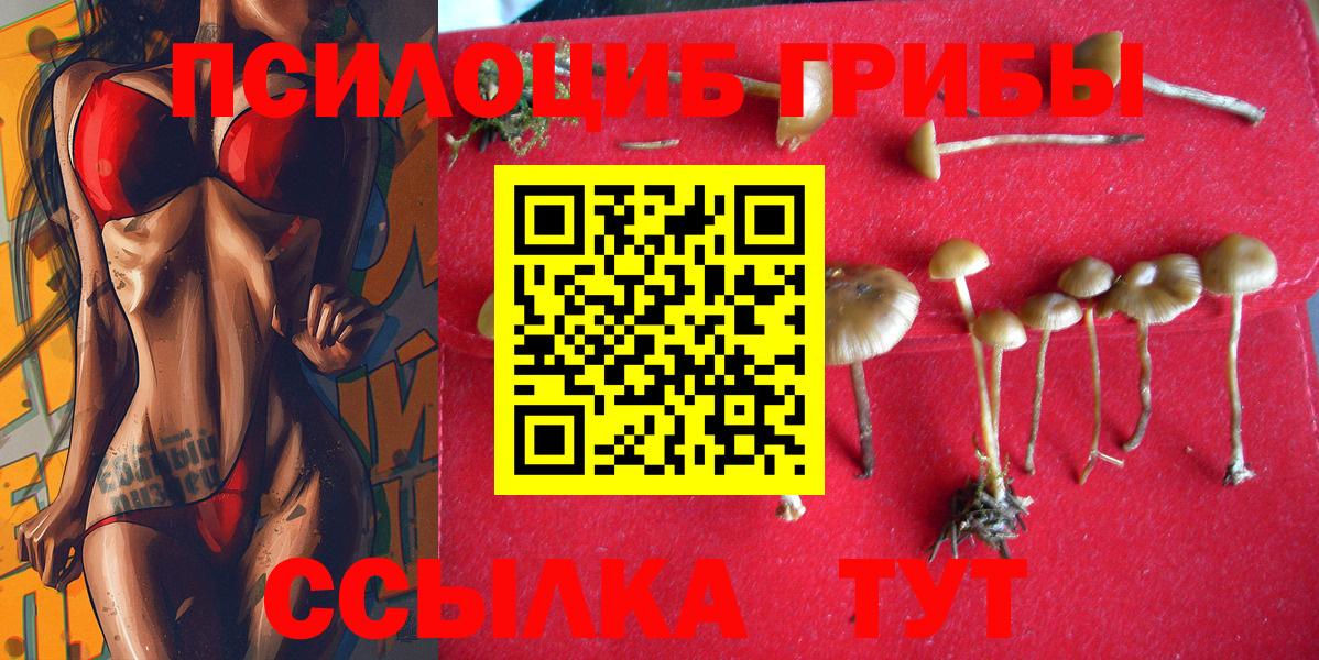 Псилоцибиновые грибы Psilocybine cubensis  Вход с VPN  Удомля 